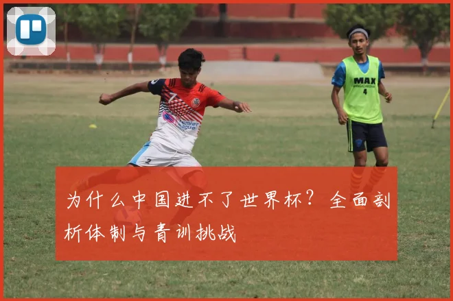 为什么中国进不了世界杯?全面剖析体制与青训挑战