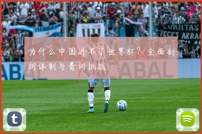 为什么中国进不了世界杯?全面剖析体制与青训挑战