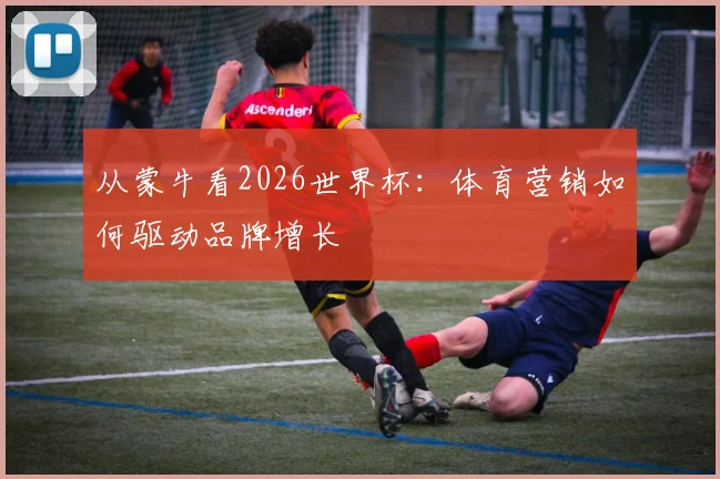 从蒙牛看2026世界杯:体育营销如何驱动品牌增长